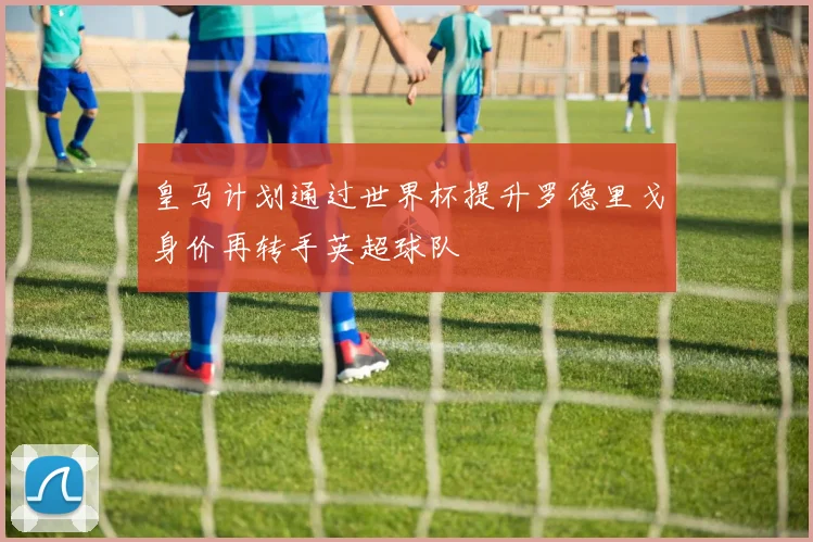 皇马计划通过世界杯提升罗德里戈身价再转手英超球队